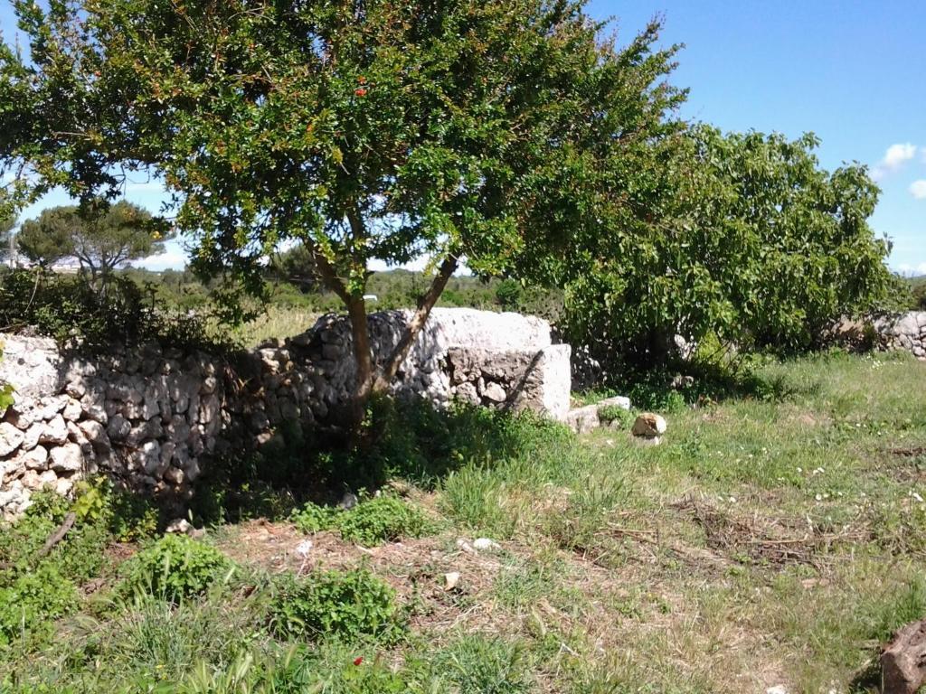 Es Barranco Guest House Ferreries Exterior photo